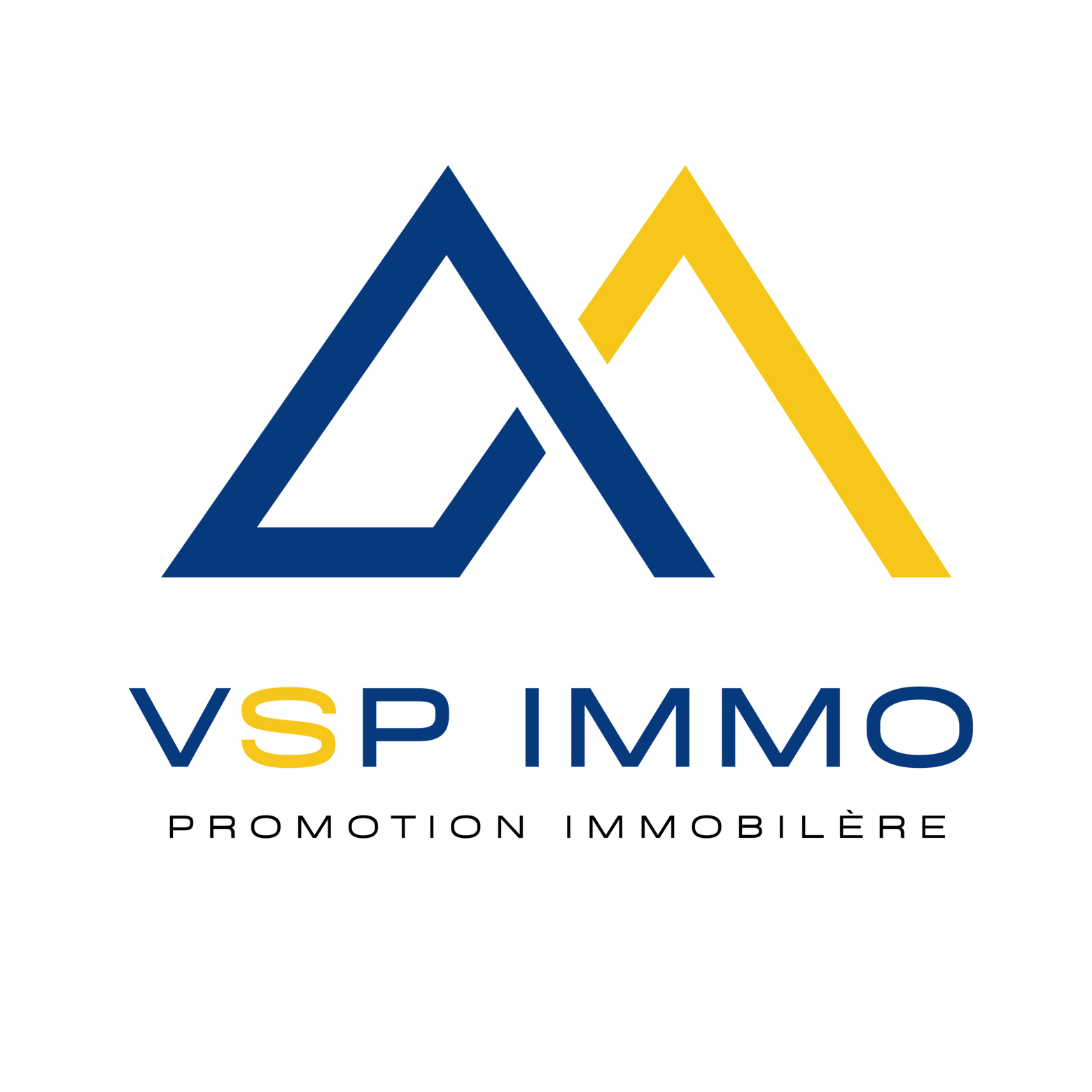vspimmo.fr website